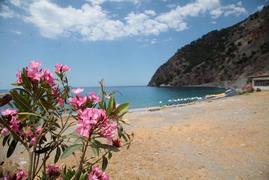 Paralia Guest House Agia Roumeli Buitenkant foto