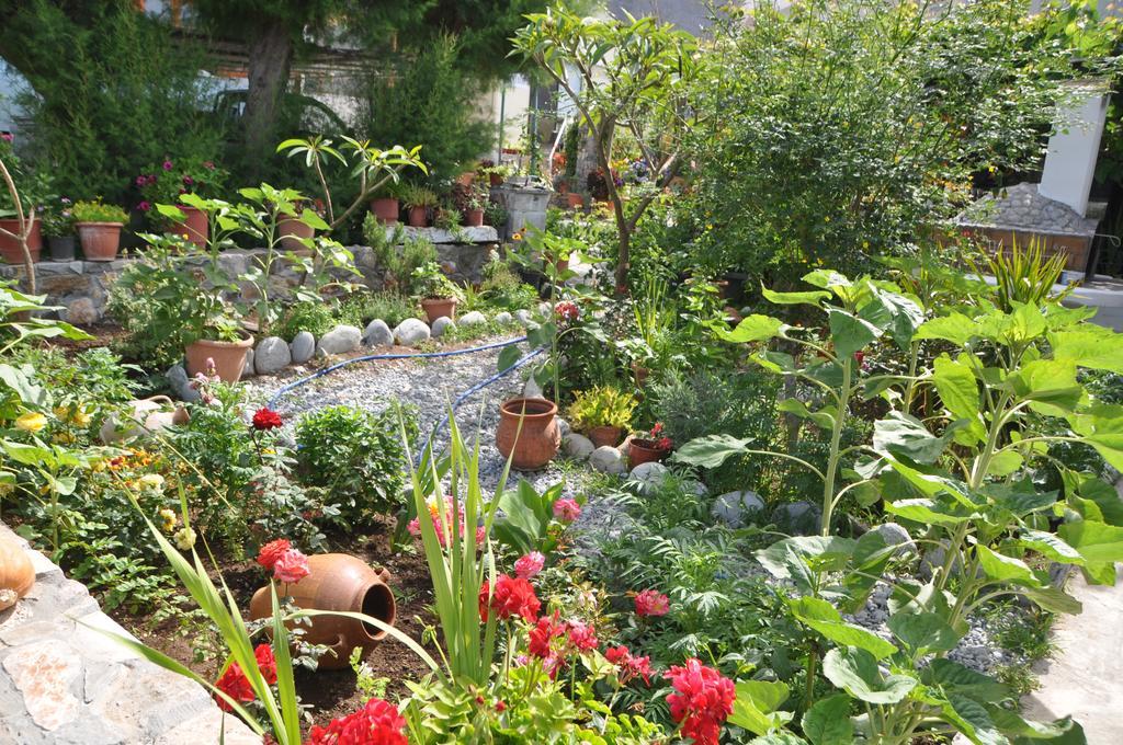 Paralia Guest House Agia Roumeli Buitenkant foto