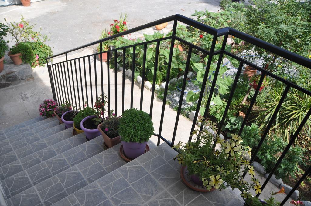Paralia Guest House Agia Roumeli Buitenkant foto